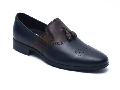 NAVY BROWN TASSEL LOAFER 01
